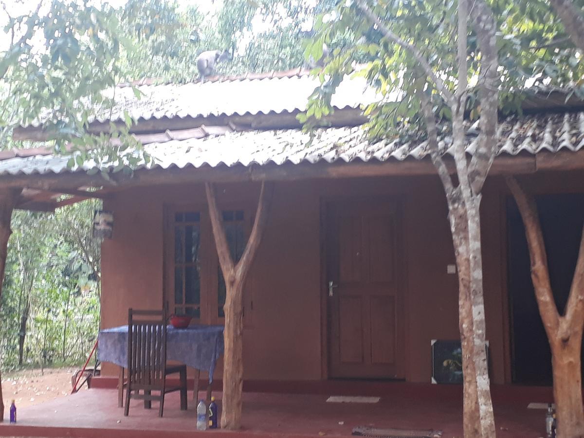 Aralu Habarana Resort Екстер'єр фото